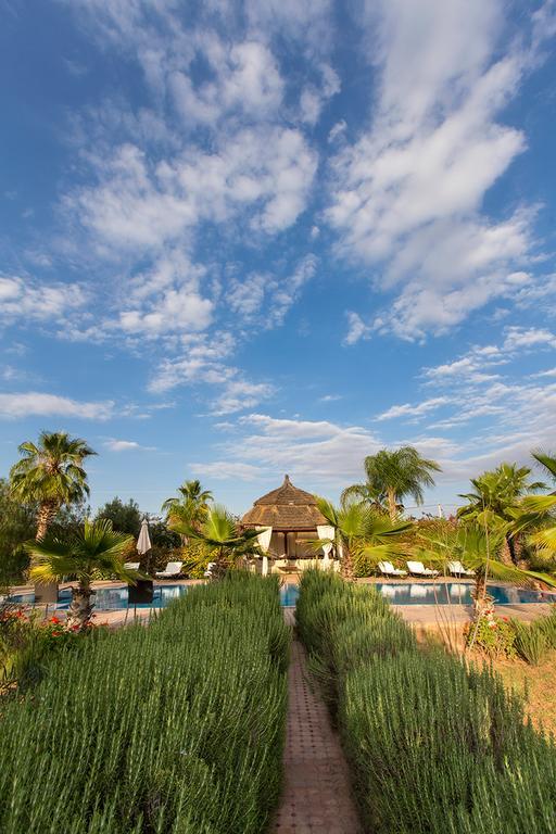 Hotel Ksar Salha Douar Drâa Zewnętrze zdjęcie
