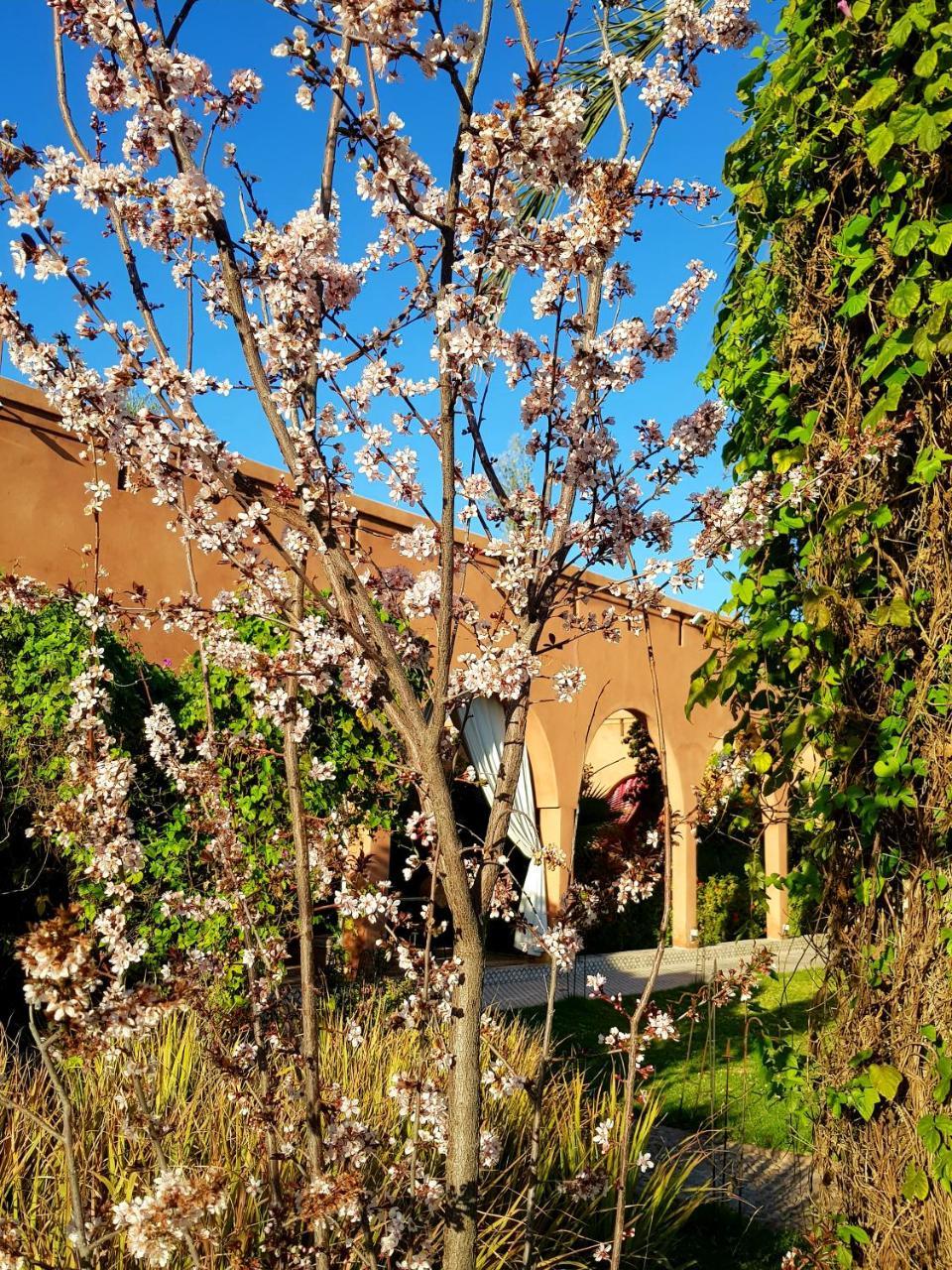 Hotel Ksar Salha Douar Drâa Zewnętrze zdjęcie